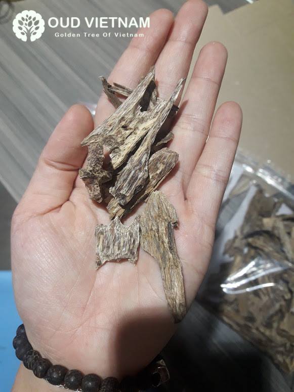 Identify Real or Fake agarwood ?