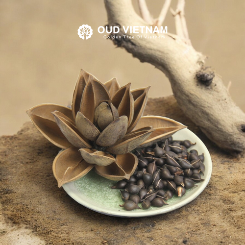Special season highend Oud Seeds – SOS image 2