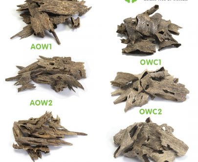 [COMBINE Trial 6 ] 4 Types Oud Chunk Super Special Grade AAA+ – CBT6 (Package)